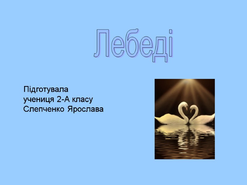 Підготувала  учениця 2-А класу Слепченко Ярослава Лебеді